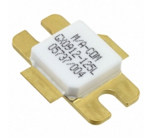 MAGX-000912-125L00 bild
