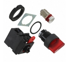 A22W-2MR-24A-10 bild