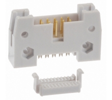 AWH10G-0202-IDC-R bild