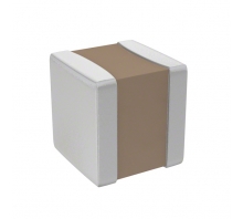 VJ0505D1R0BXPAJ bild