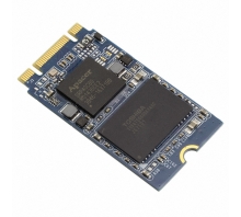 APM2T42P100064GAN-7TM bild