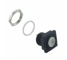 RP8600B2M1CEBLKSIL bild