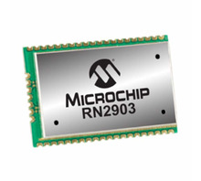 RN2903A-I/RM098 bild