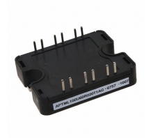 APTML100U60R020T1AG bild