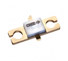 CGH55015F1 bild