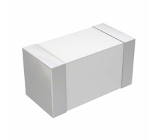 B72520E0250K062 bild