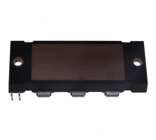 FP7G100US60 bild