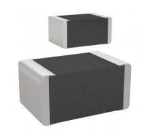 ECP-U1C104MA5 bild