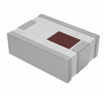 2450BP39C100AE bild