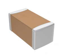 CL31F475ZOFNNNE bild