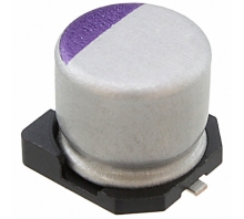25SVPF100M bild