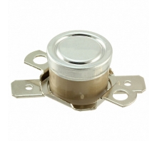 2455RP-91000440 bild