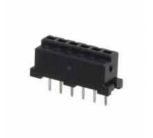 DF3-6S-2DSA(55) bild