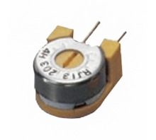 RJ13S103 bild