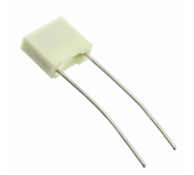 R82EC3100SH70J bild