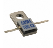 RP60515R0100JNBK bild