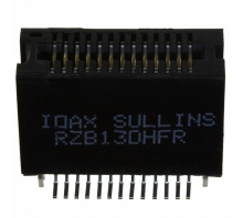 RZB13DHFR bild