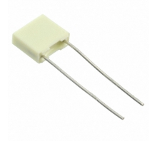 R82EC2100SH50J bild