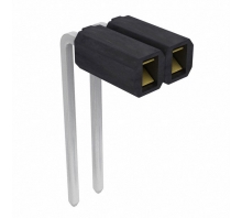 SSA-102-W-G-RA bild