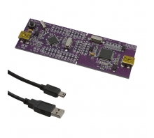 NUTINY-SDK-NUC120 bild