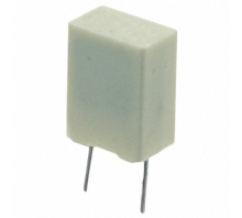R82MC2220AA50J bild