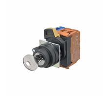A22NK-2BL-01BA-G101 bild