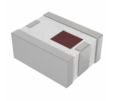 2450BP39C100DE bild