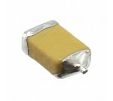 F950J336MSAAQ2 bild