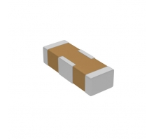 1806J1000221MCTE01 bild