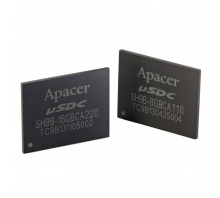 AP-USDC16GC239-DTM bild