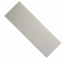 PSR1636-25 bild