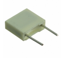 R82DC3150AA60J bild