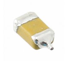 F950G227MAAAM1Q2 bild