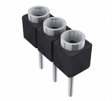 SS-103-TT-2-N bild