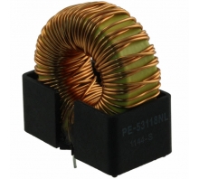 PE-53118NL bild