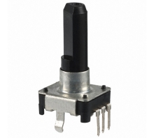 NSE12DV2425 bild