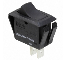 RSC441D1100 bild