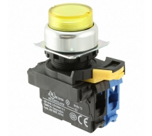 A22NL-RPM-TYA-G100-YE bild