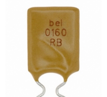 0ZRB0160FF1E bild