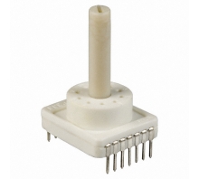 RTAP30BCSSD25S bild