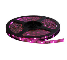 12V-NB-RGB-12M bild