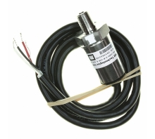 P51-1000-S-B-I36-4.5OVP-000-000 bild