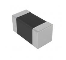 B82496C3120G000 bild