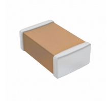 CL21F473ZBANNNC bild
