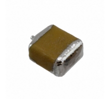 F950J157MBAAQ2 bild