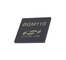 BGM11S12F256GA-V2R bild