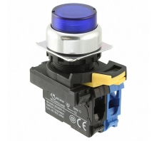 A22NL-RPA-TAA-G100-AC bild