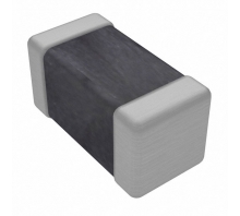 B57352V5103H060 bild