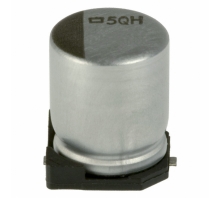 EMVH100ADA101MF80G bild