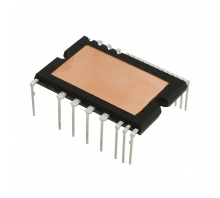 PS219B2-AS bild